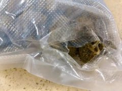 深圳邮局海关查获毛重973.6克大麻 藏匿于毛毯内